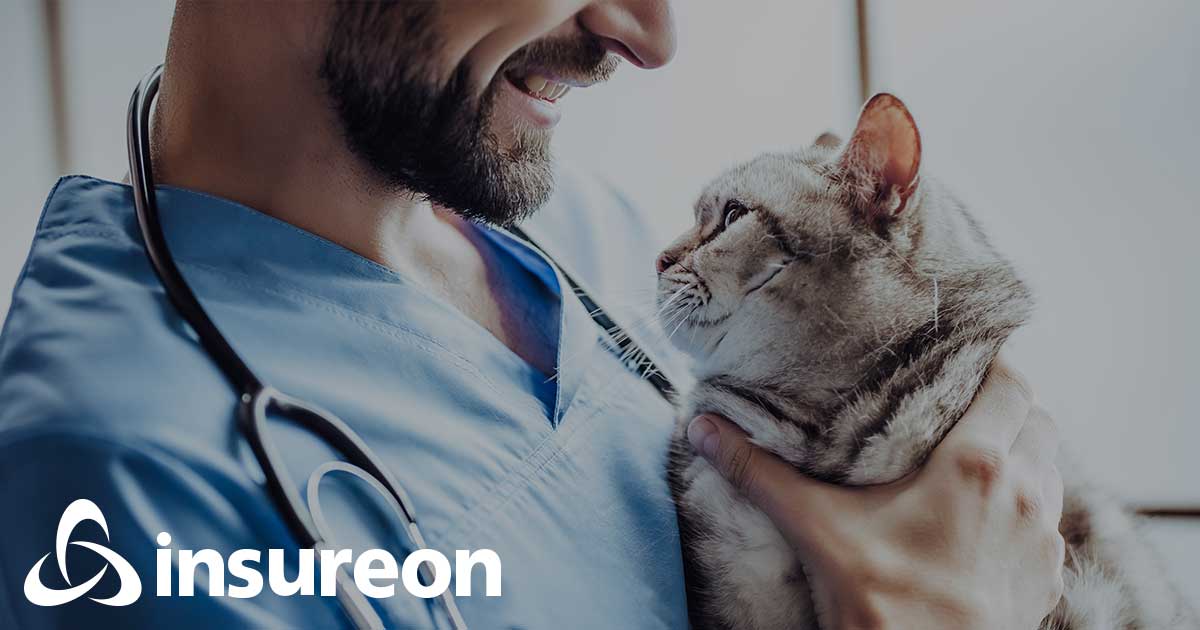 Veterinarian & Veterinary Practice Business Insurance Quotes Insureon