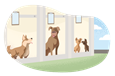 Four dogs boarding at a dog hotel.