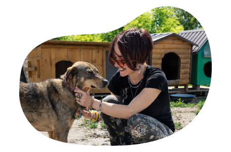 Pet boarder taking care of a dog.