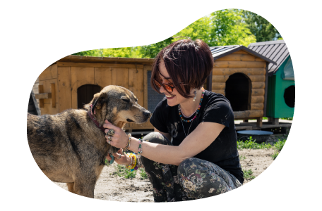 Pet boarder taking care of a dog. Pet boarder taking care of a dog.