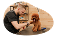 Pet groomer grooming a small dog.
