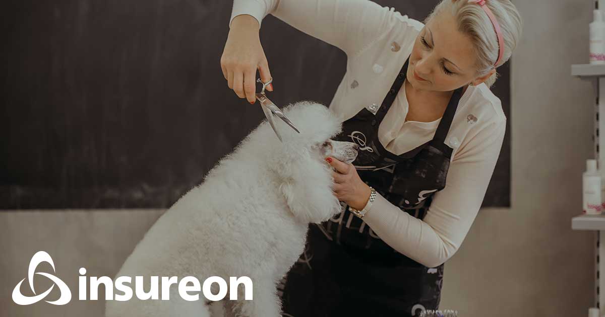 Dog and Pet Grooming Business Insurance Insureon