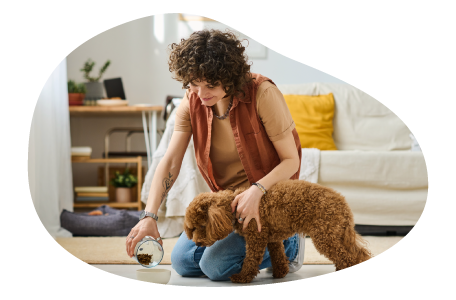 Pet sitter caring for a client's dog.