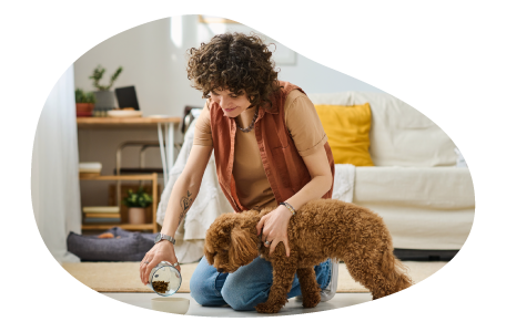 Pet sitter caring for a client's dog. Pet sitter caring for a client's dog.