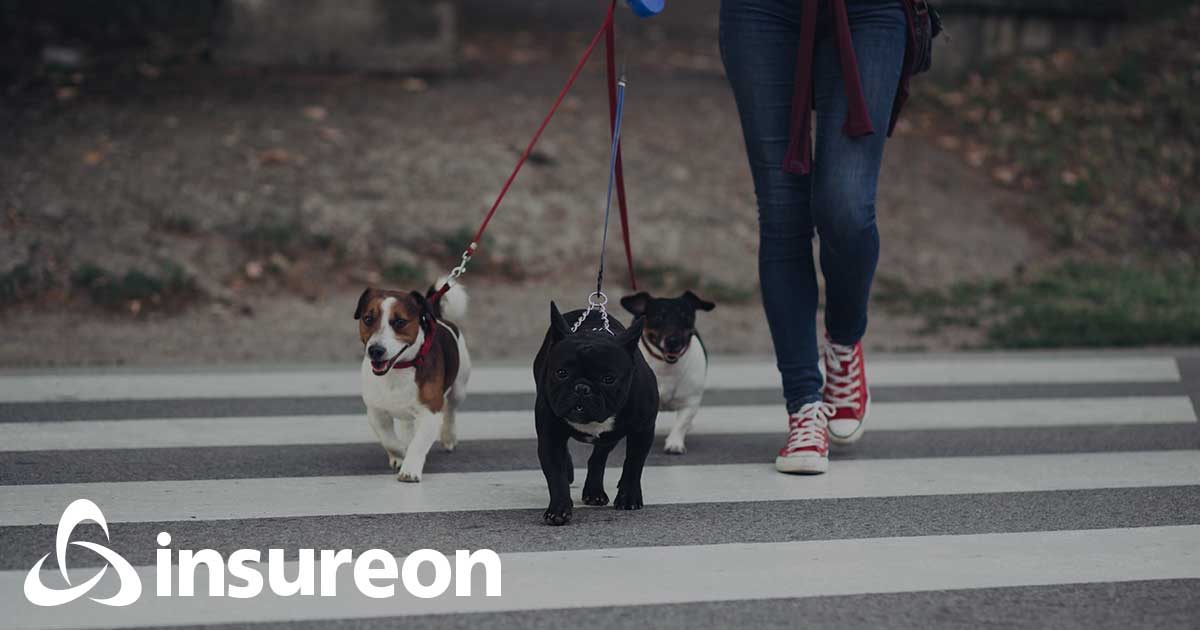 Dog and Pet Sitting Business Insurance Insureon