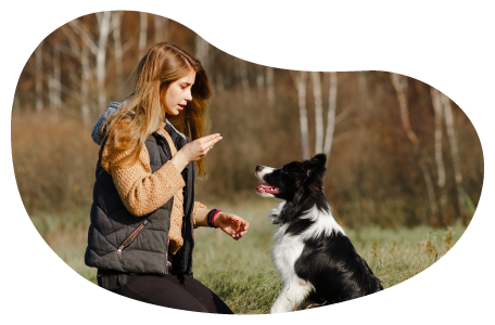 Pet trainer teaching a dog to sit.