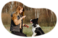 Pet trainer teaching a dog to sit.