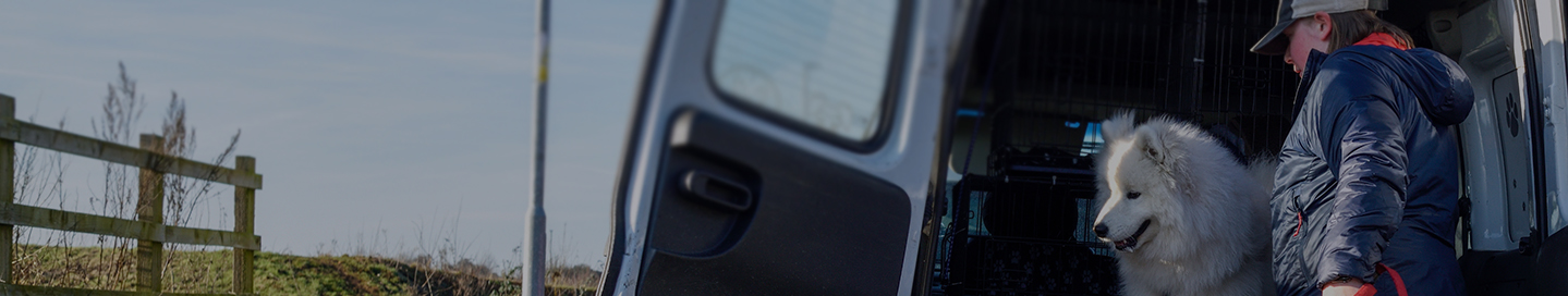 A dog in the back of a pet taxi.