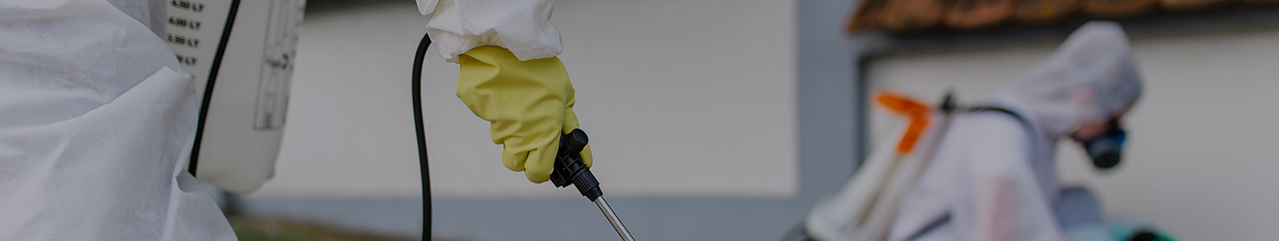 Exterminators applying pesticide treatment in a client's yard