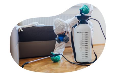 Pest control professional treating a home with chemicals. Pest control professional treating a home with chemicals.