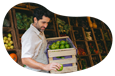 Grocery store employee stocking a produce shelf.