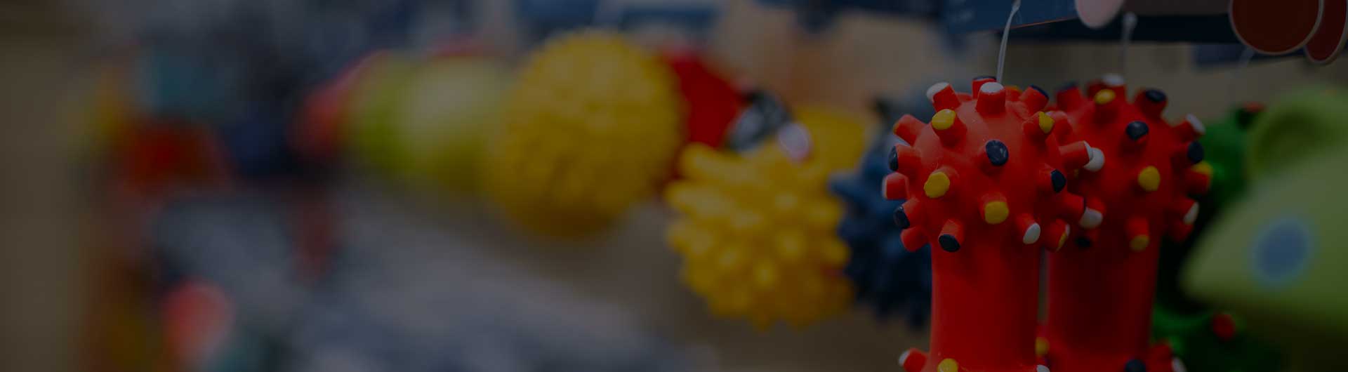 Pet shop, shelves with accessories, closeup.