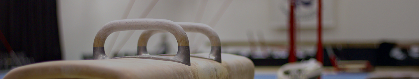 A pommel horse in a gymnastics club.