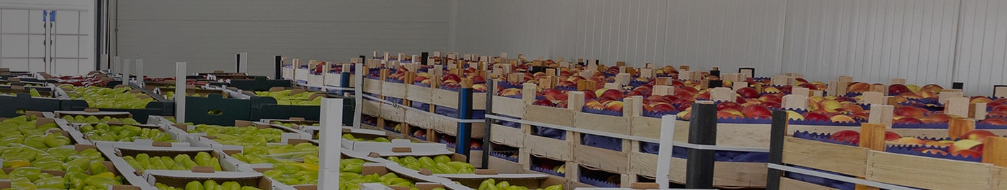 Crates of fruits and vegetables.