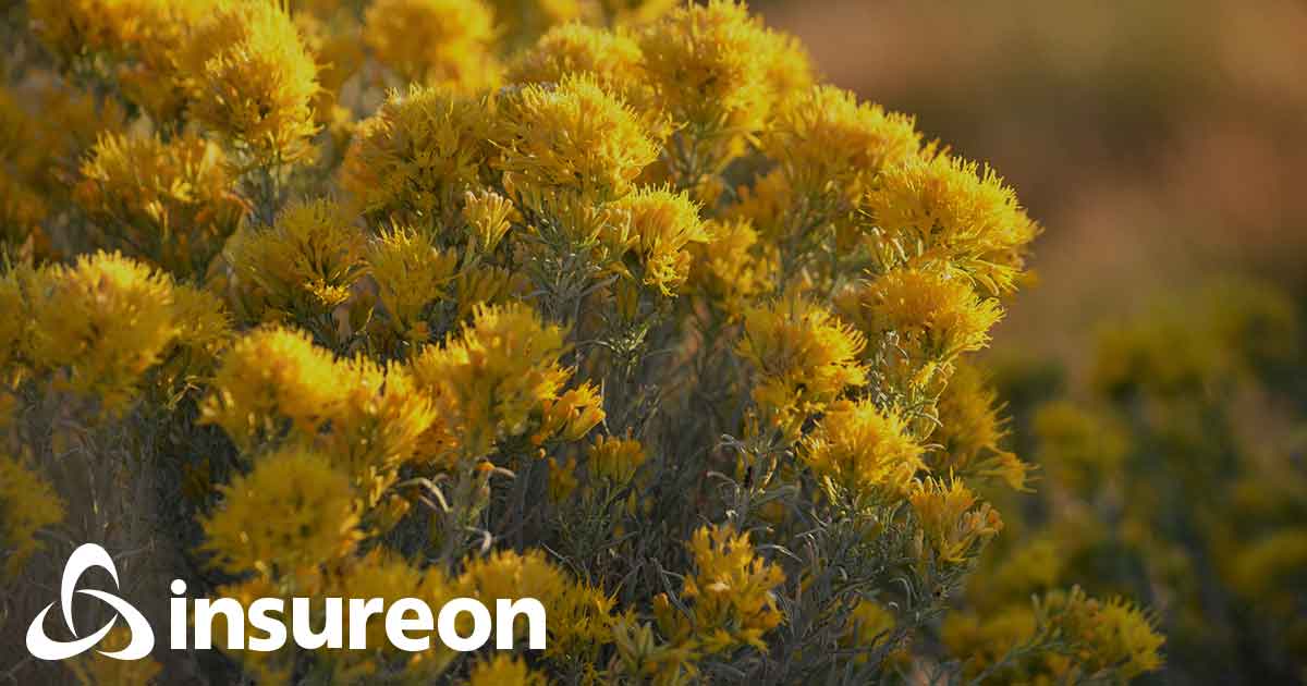 Nevada Small Business Insurance Requirements Quotes Insureon