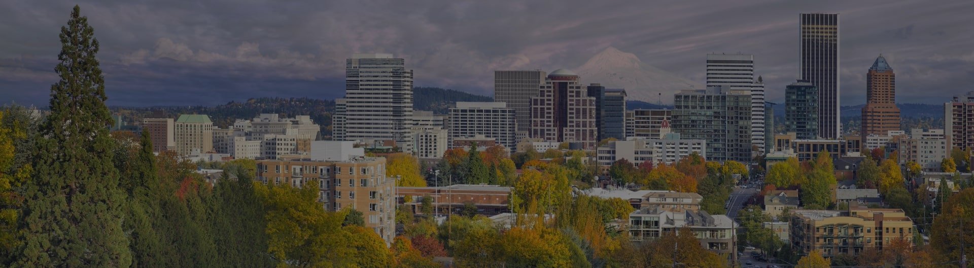 The skyline of Portland, Oregon, with Mount Hood.