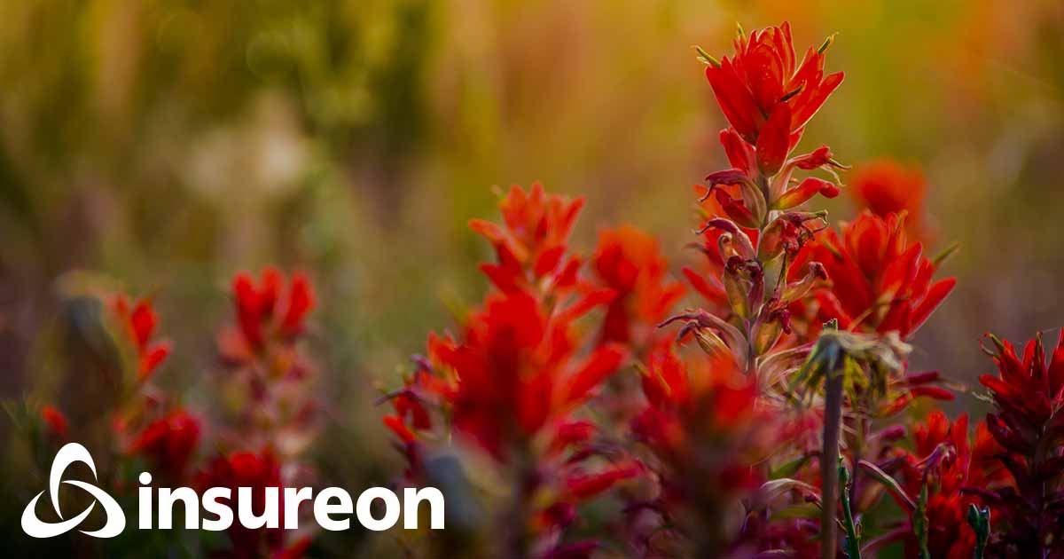 Wyoming Small Business Liability Insurance Quotes Insureon Wyoming Small Business Liability Insurance Quotes Insureon