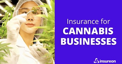 Cannabis business insurance: What is it and do I need it? 