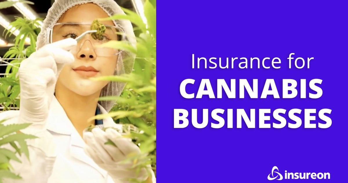 Cannabis business insurance: What is it and do I need it?