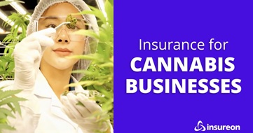 Cannabis business owner examining product next to the words "Insurance for cannabis businesses"