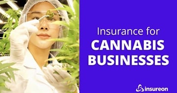 Cannabis business owner examining product next to the words "Insurance for cannabis businesses"